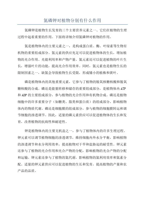 氮磷钾对植物分别有什么作用