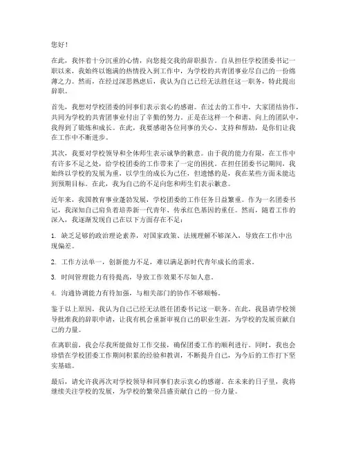 学校团委书记辞职报告范文