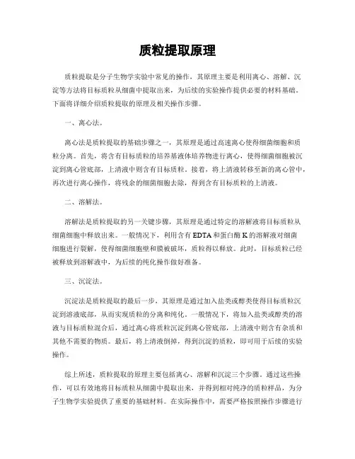 质粒提取原理