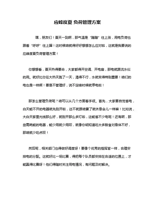 应峰度夏 负荷管理方案