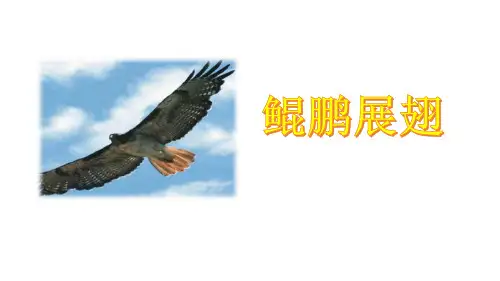 第21课《庄子二则——北冥有鱼》课件(共28张PPT)语文八年下册
