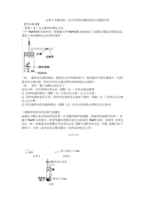 (完整版)光合作用和细胞呼吸综合训练及习题解析