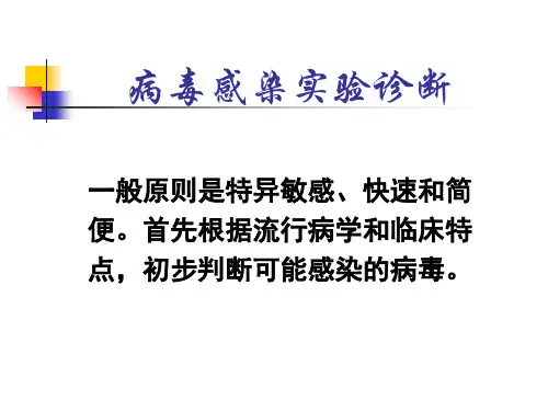 病毒感染实验诊断ppt课件