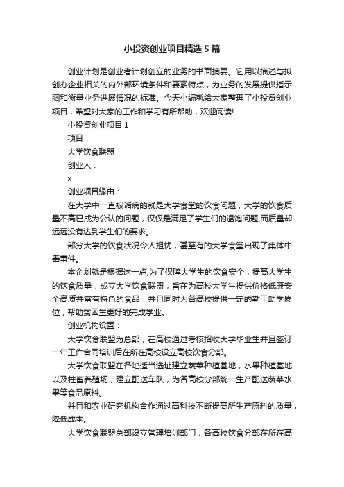 小投资创业项目精选5篇