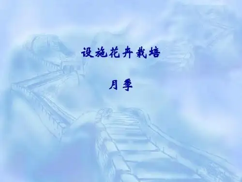 设施花卉栽培——月季