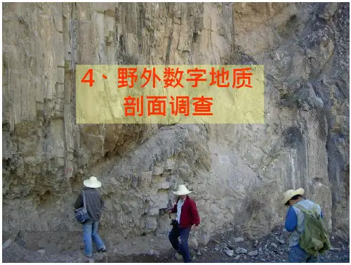 数字填图DGSS教程野外数字地质剖面调查