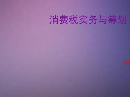 消费税实务与筹划培训课程(ppt 53张)