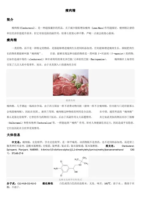 (精选)瘦肉精