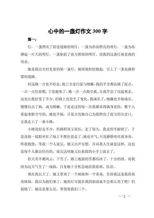 心中的一盏灯作文300字