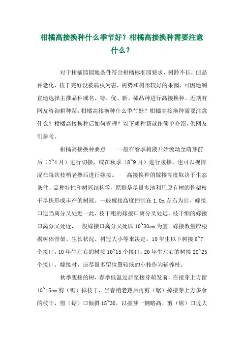 柑橘高接换种什么季节好？柑橘高接换种需要注意什么？ 