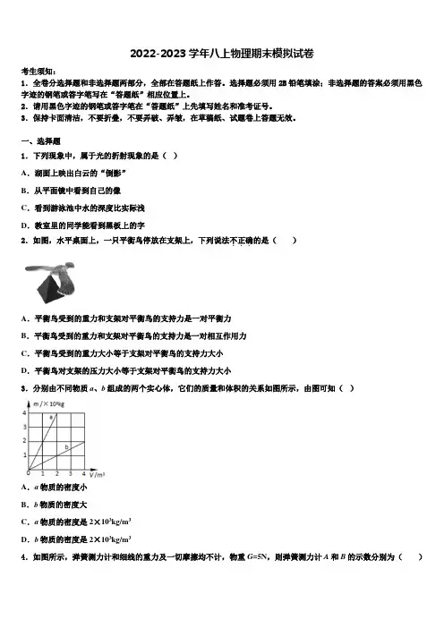 泰安市泰山区2022-2023学年八年级物理第一学期期末联考试题含解析