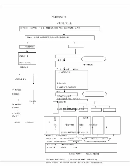 产科出血抢救流程文件.doc