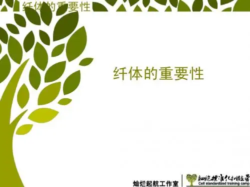 减肥面面观