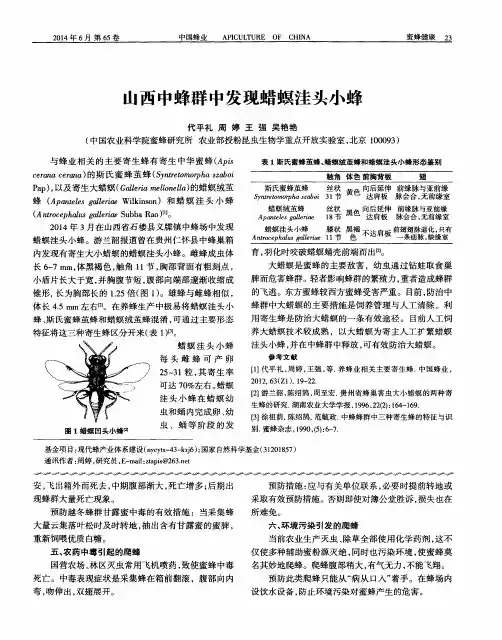山西中蜂群中发现蜡螟洼头小蜂