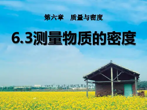 《测量物质的密度》质量与密度PPT课件7