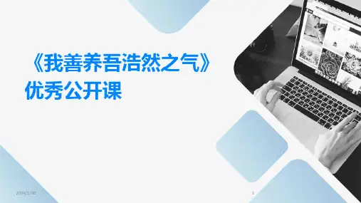 《我善养吾浩然之气》优秀公开课(2024)