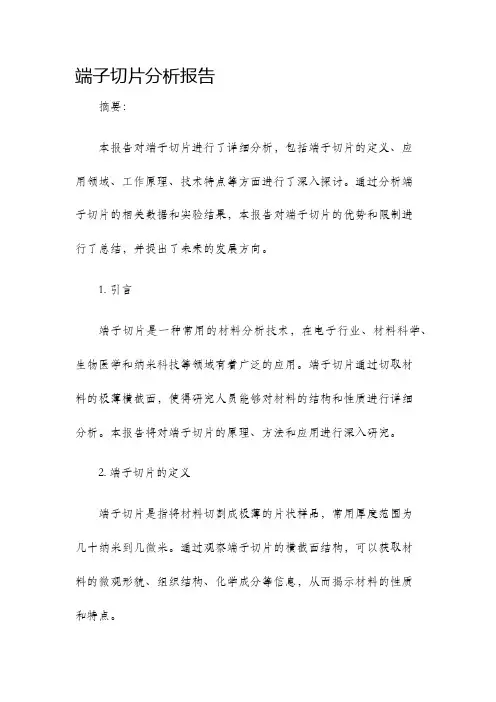 端子切片分析报告