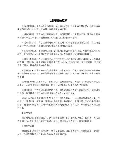 肌肉增长原理