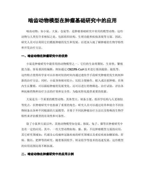 啮齿动物模型在肿瘤基础研究中的应用