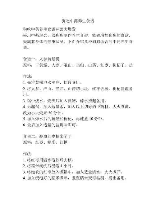 狗吃中药养生食谱