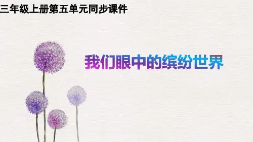 统编版语文三年级上册习作：我们眼中的缤纷世界  课件(共22张PPT)