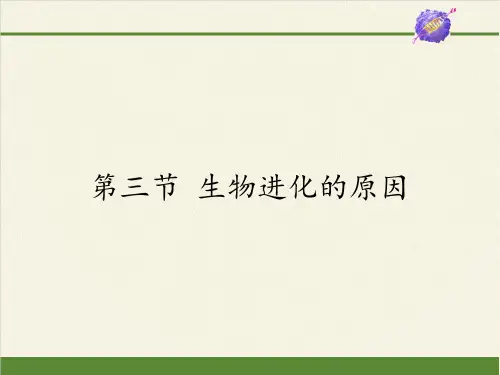 人教版八年级生物下册-7.生物进化的原因教学课件