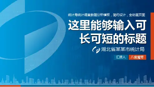 统计局统计调查调研报告数据分析PPT