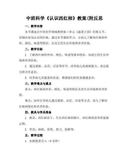 中班科学《认识西红柿》教案(附反思