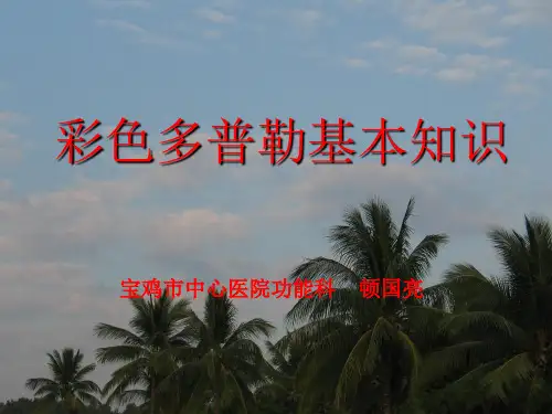 彩色多普勒基本知识PPT课件
