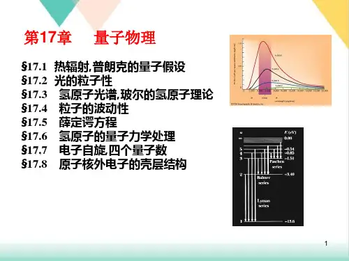 高二物理竞赛第十七章量子力学基础课件4