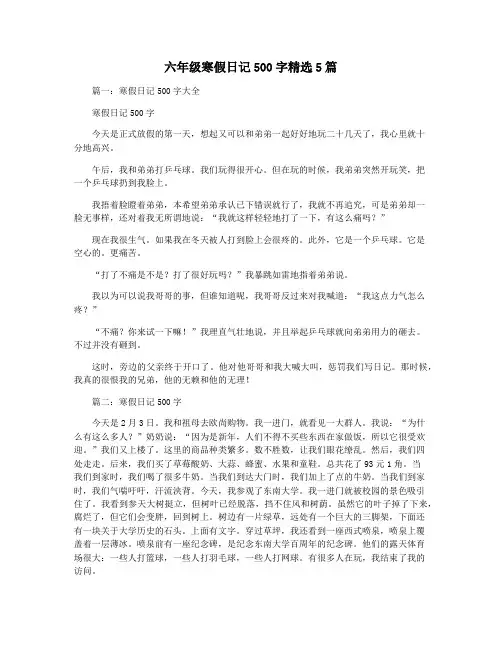 六年级寒假日记500字精选5篇