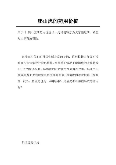 爬山虎的药用价值
