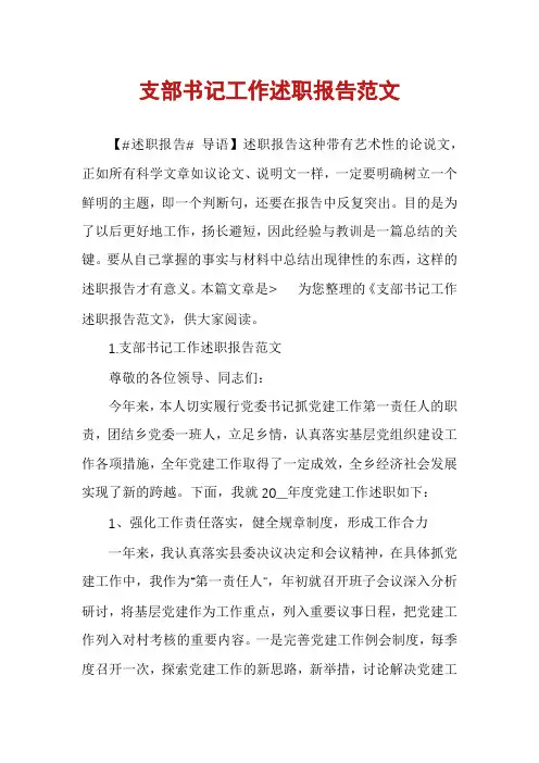 支部书记工作述职报告范文