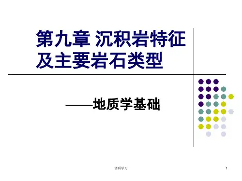第九章 沉积岩特征及主要岩石类型[研究材料]