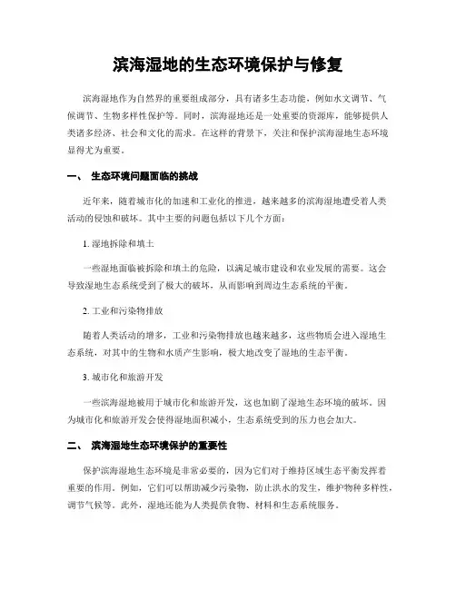 滨海湿地的生态环境保护与修复