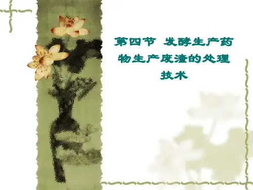制药工业废渣处理