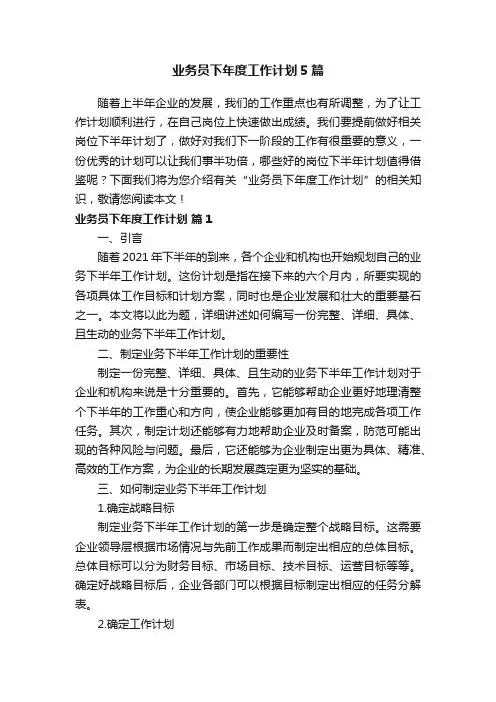 业务员下年度工作计划5篇