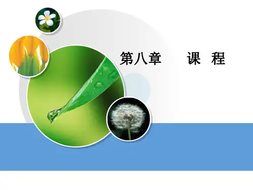 《教育学原理》课件PPT第8章 课程
