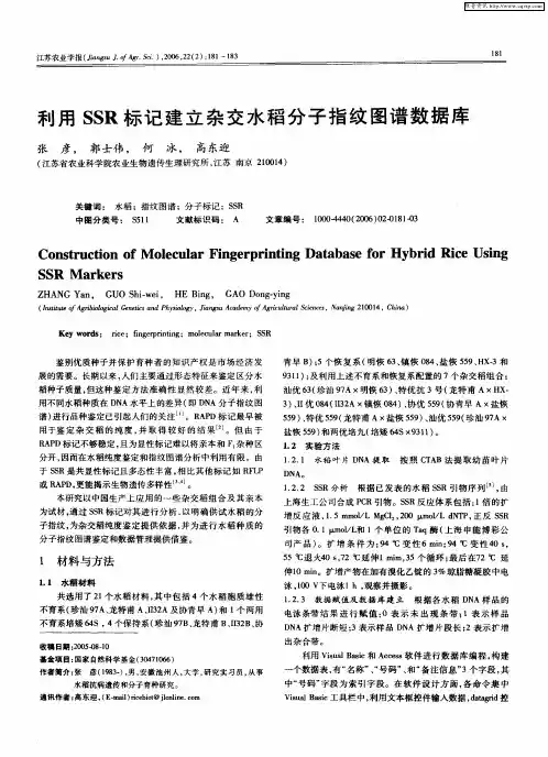 利用SSR标记建立杂交水稻分子指纹图谱数据库