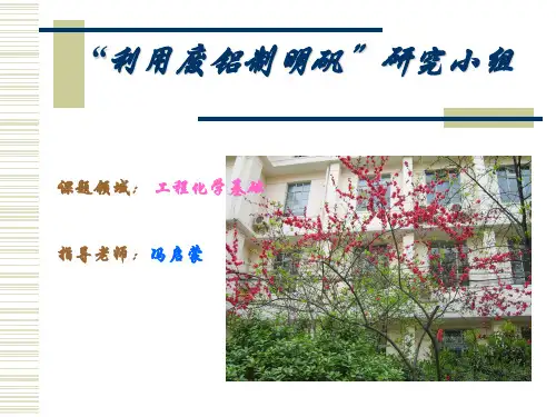 废铝制备明矾 PPT课件