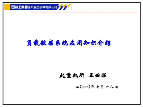 负载敏感系统