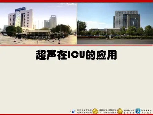 超声在ICU的应用-精品医学课件