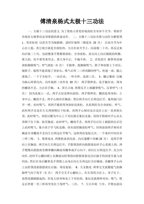 傅清泉杨式太极十三功法