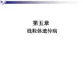 线粒体遗传病(精)