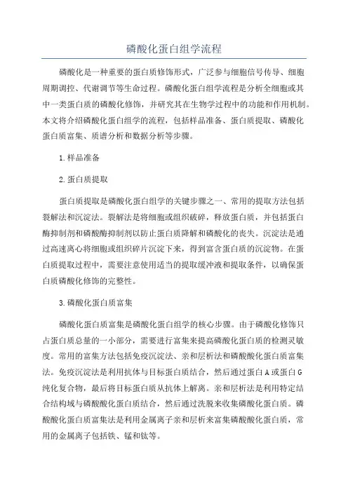 磷酸化蛋白组学流程