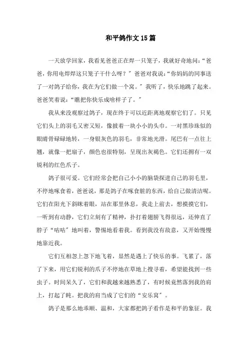 和平鸽作文范文精选