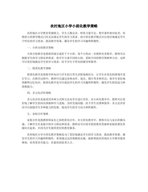 农村地区小学小班化教学策略