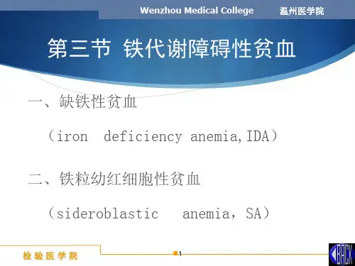 临床血液学检验-08IDA-AA-120