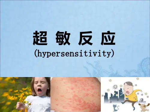 超敏反应PPT课件