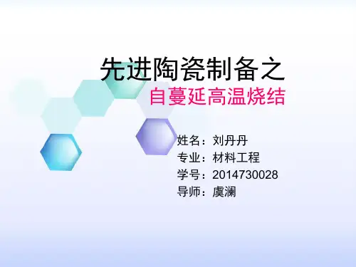 自蔓延高温烧结资料